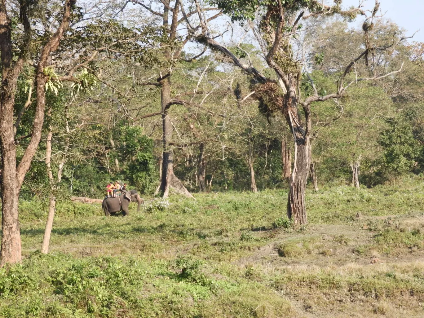 Photo of Hollong Tourist Lodge By Rohin Banerjee