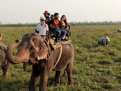 Photo of Kaziranga National Park By Rohin Banerjee