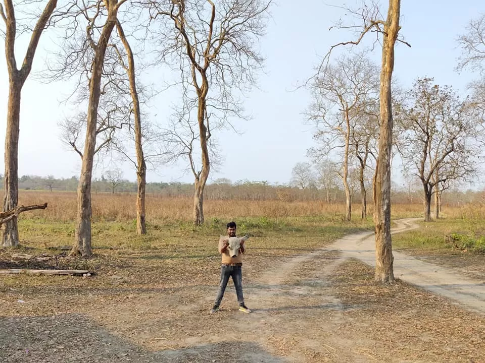 Photo of Kaziranga National Park By Rohin Banerjee