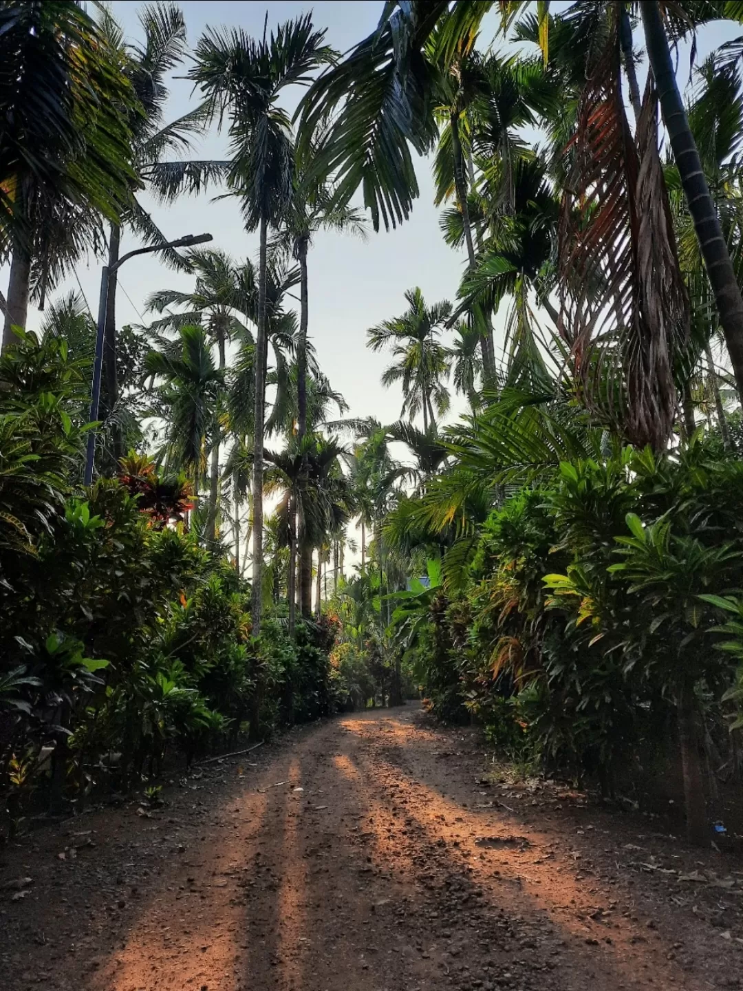 Photo of Shrivardhan By Anish Dhotre