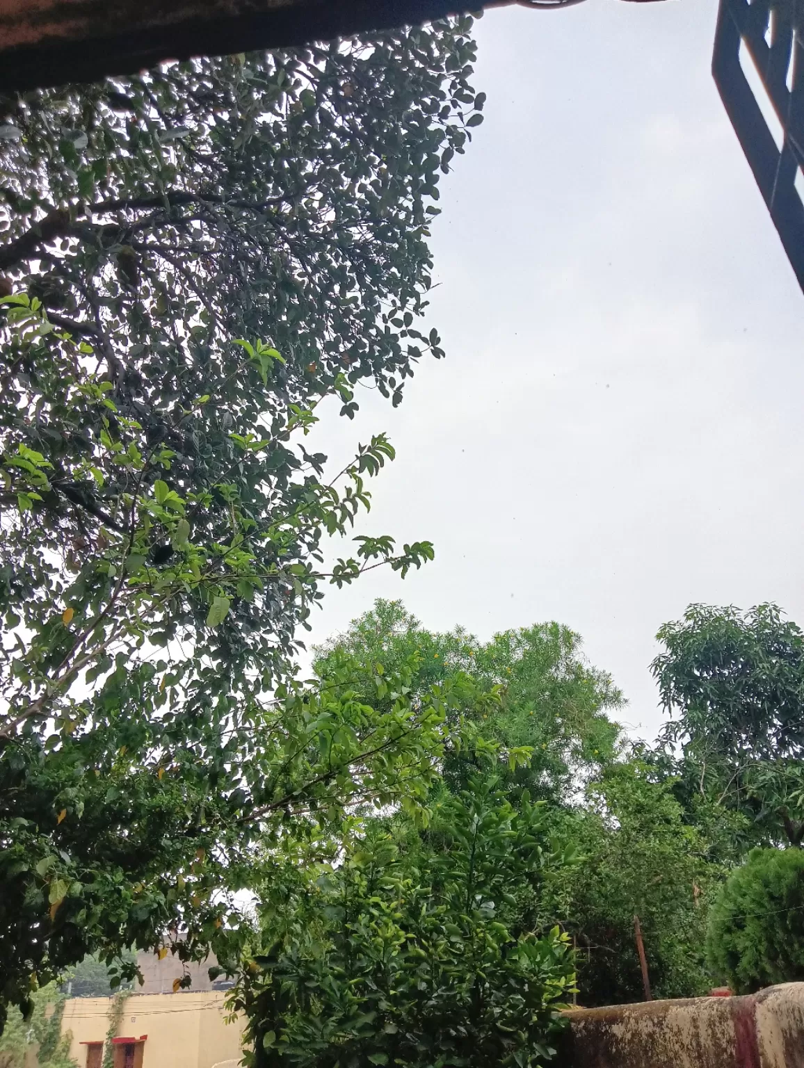 Photo of Dhanbad By Nikita Maudgalya