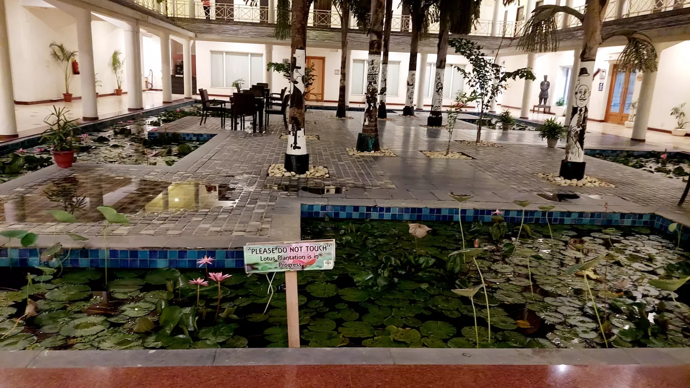 Photo of The Tree House Resort | Jaipur By Dipesh kumar