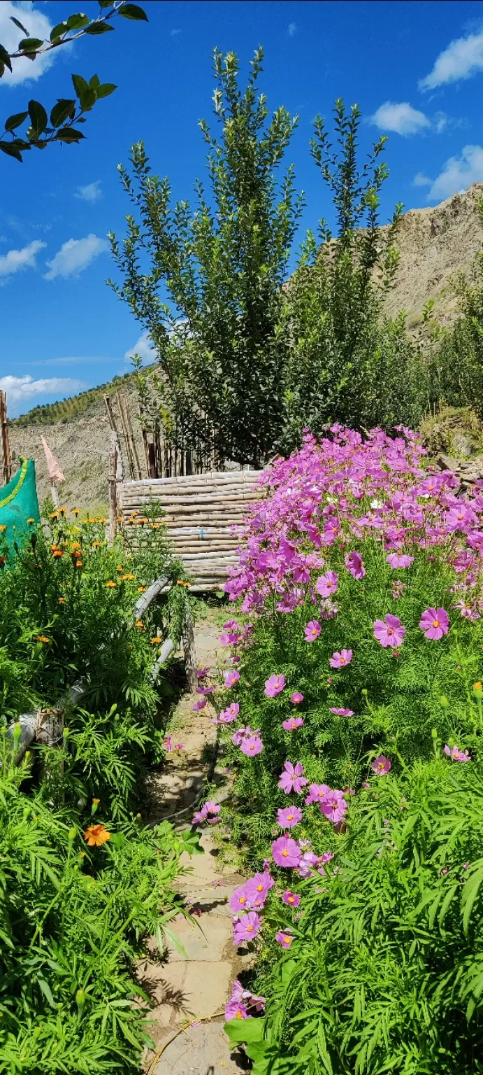 Photo of Lahaul And Spiti By Chanchal MK