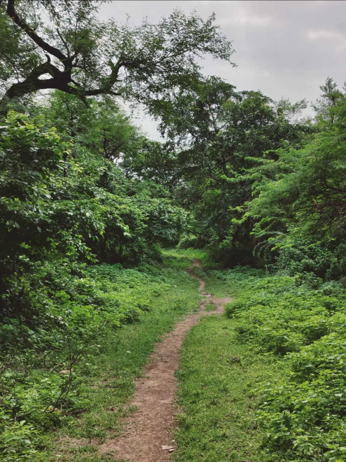 Photo of Champaner-Pavagadh Archaeological Park By Soumalya Banerjee