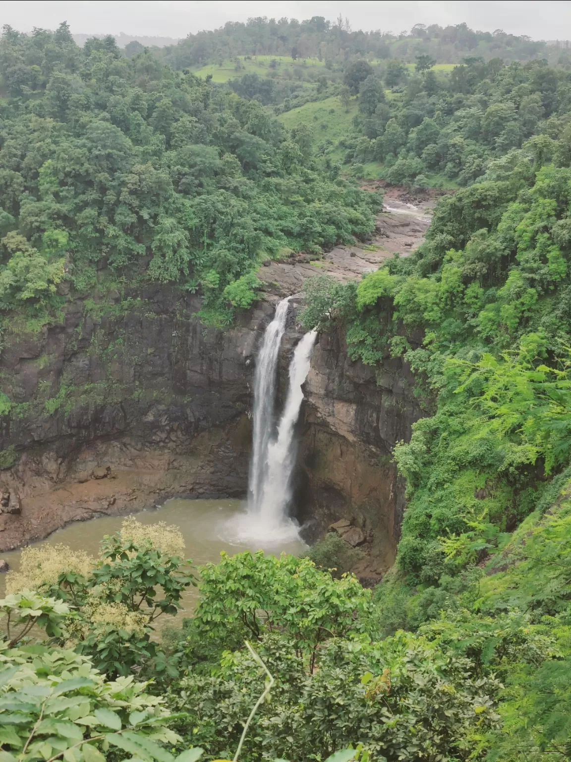 Photo of Jawhar By Soumalya Banerjee