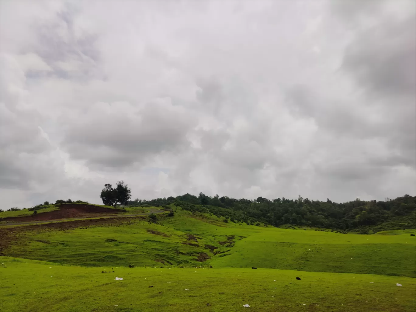 Photo of Jawhar By Soumalya Banerjee