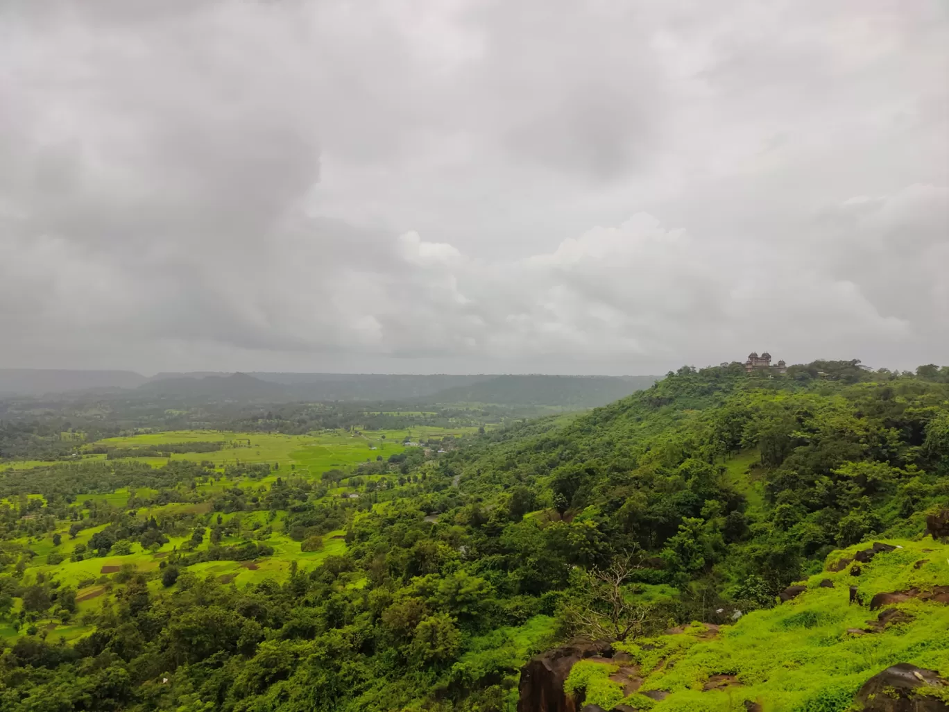 Photo of Jawhar By Soumalya Banerjee