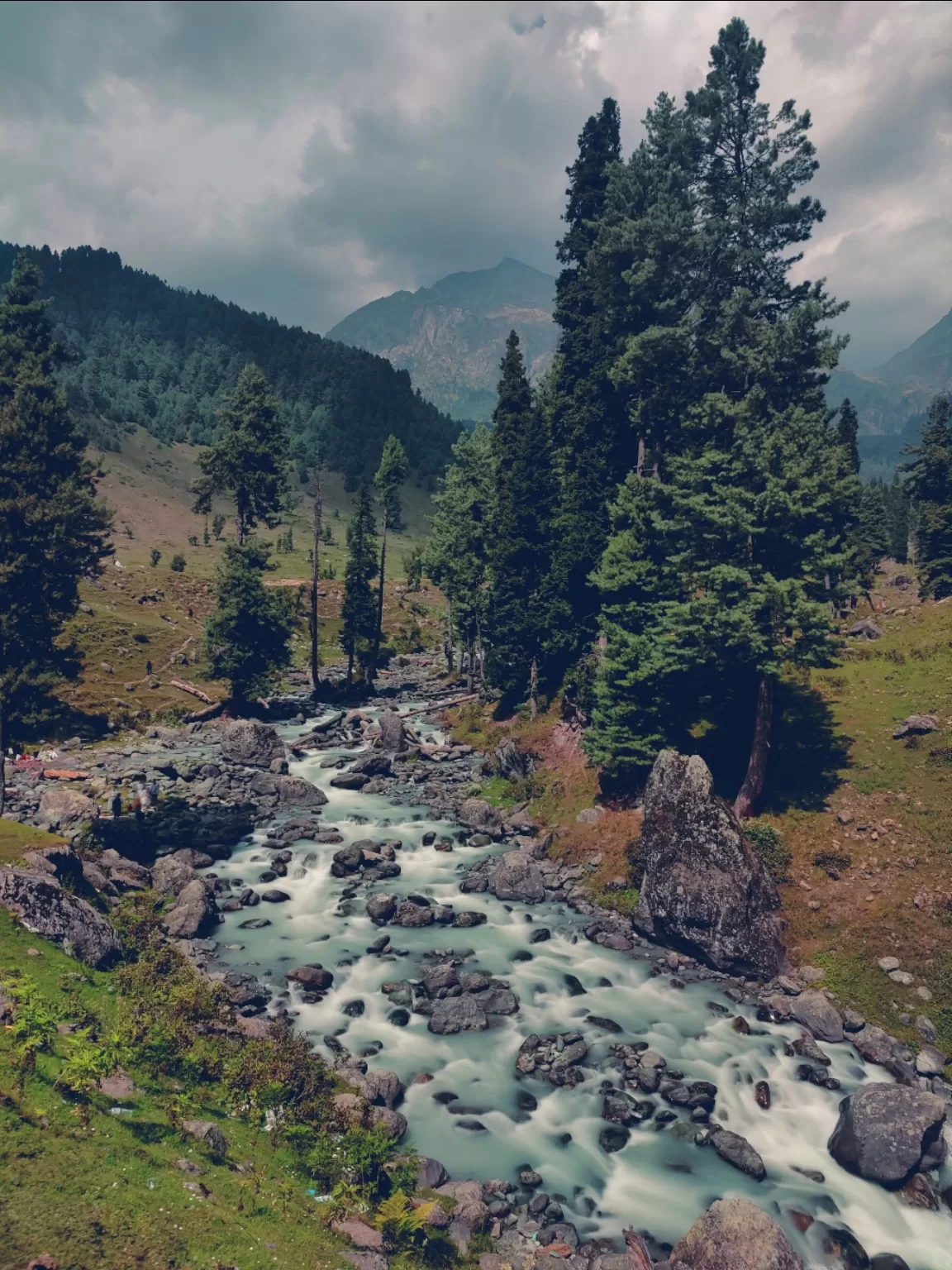 Photo of Aru Valley By Soumalya Banerjee