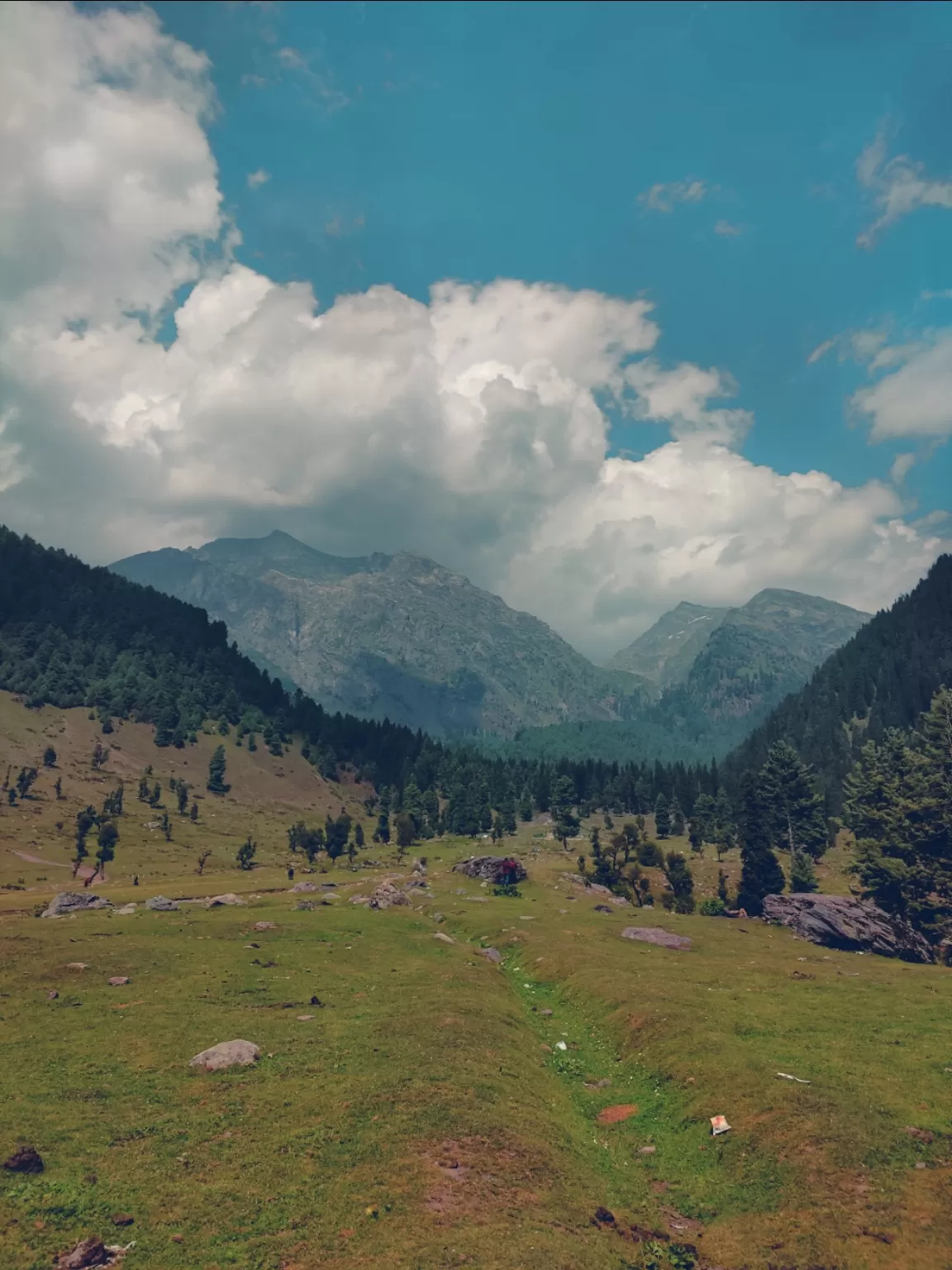 Photo of Aru Valley By Soumalya Banerjee