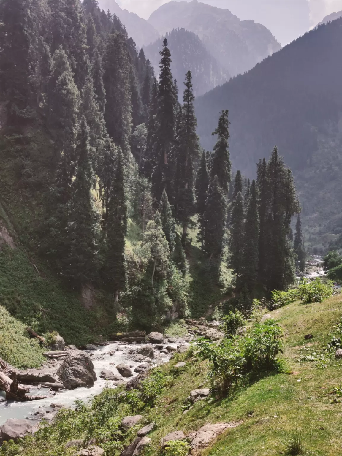 Photo of Aru Valley By Soumalya Banerjee