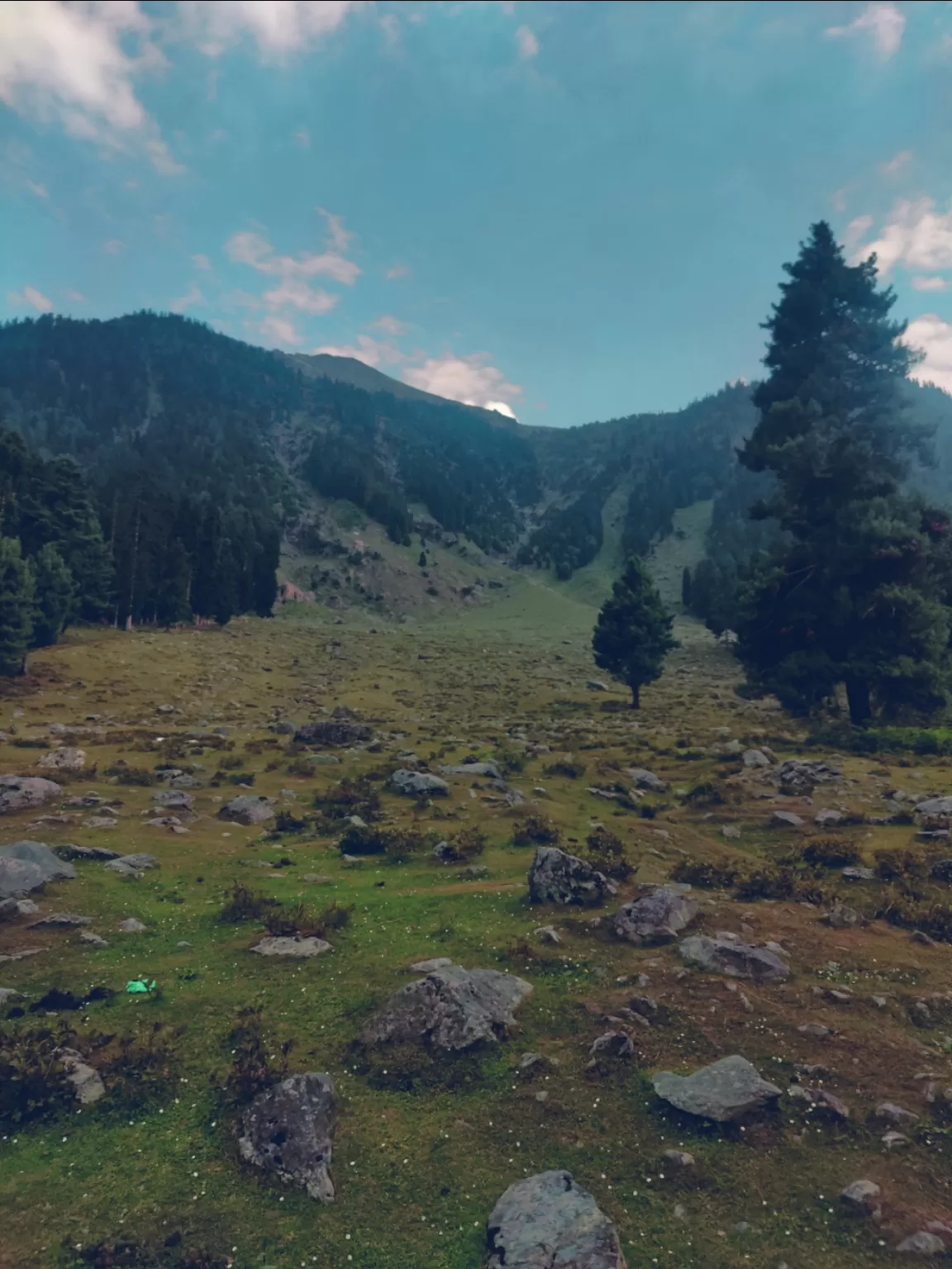 Photo of Betaab Valley By Soumalya Banerjee