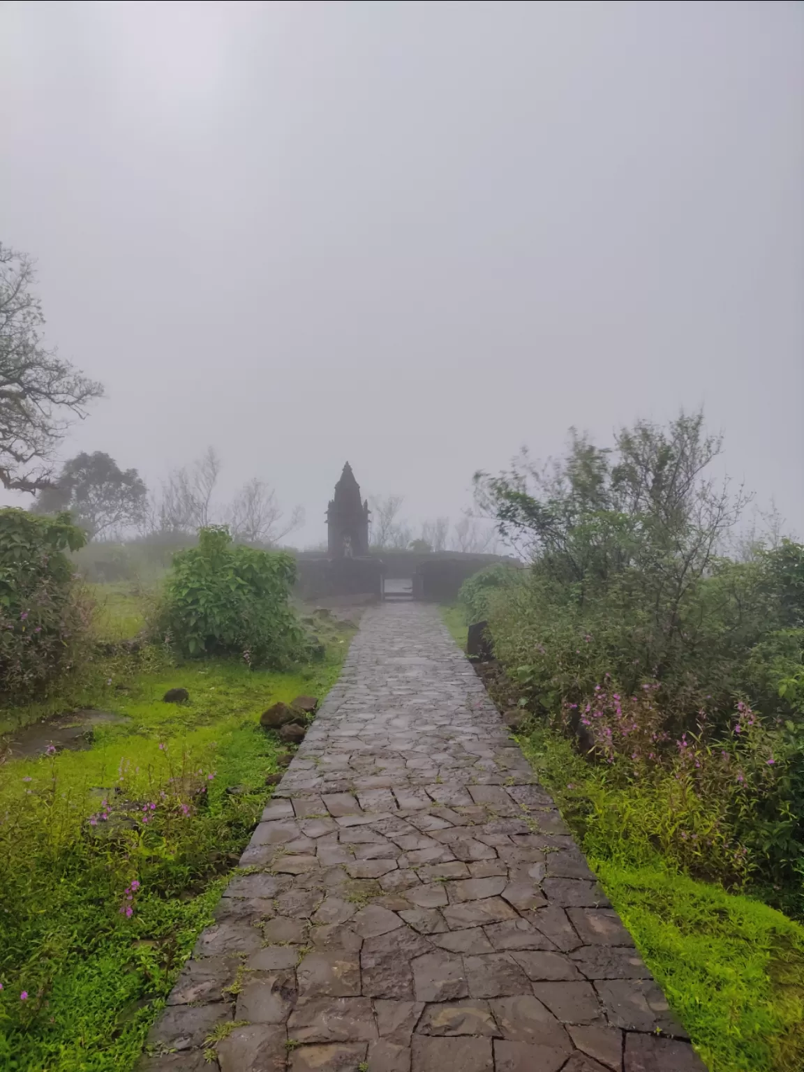 Photo of Raigad Fort By Soumalya Banerjee