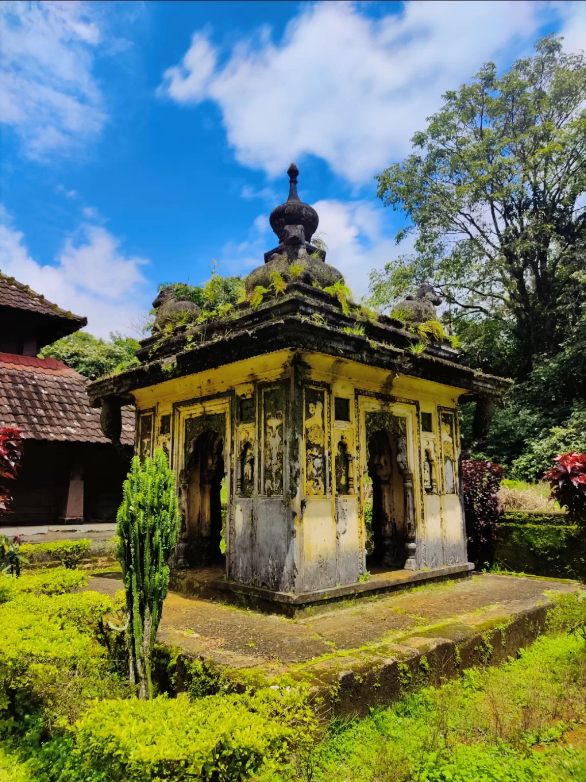 Photo of Coorg By Soumalya Banerjee