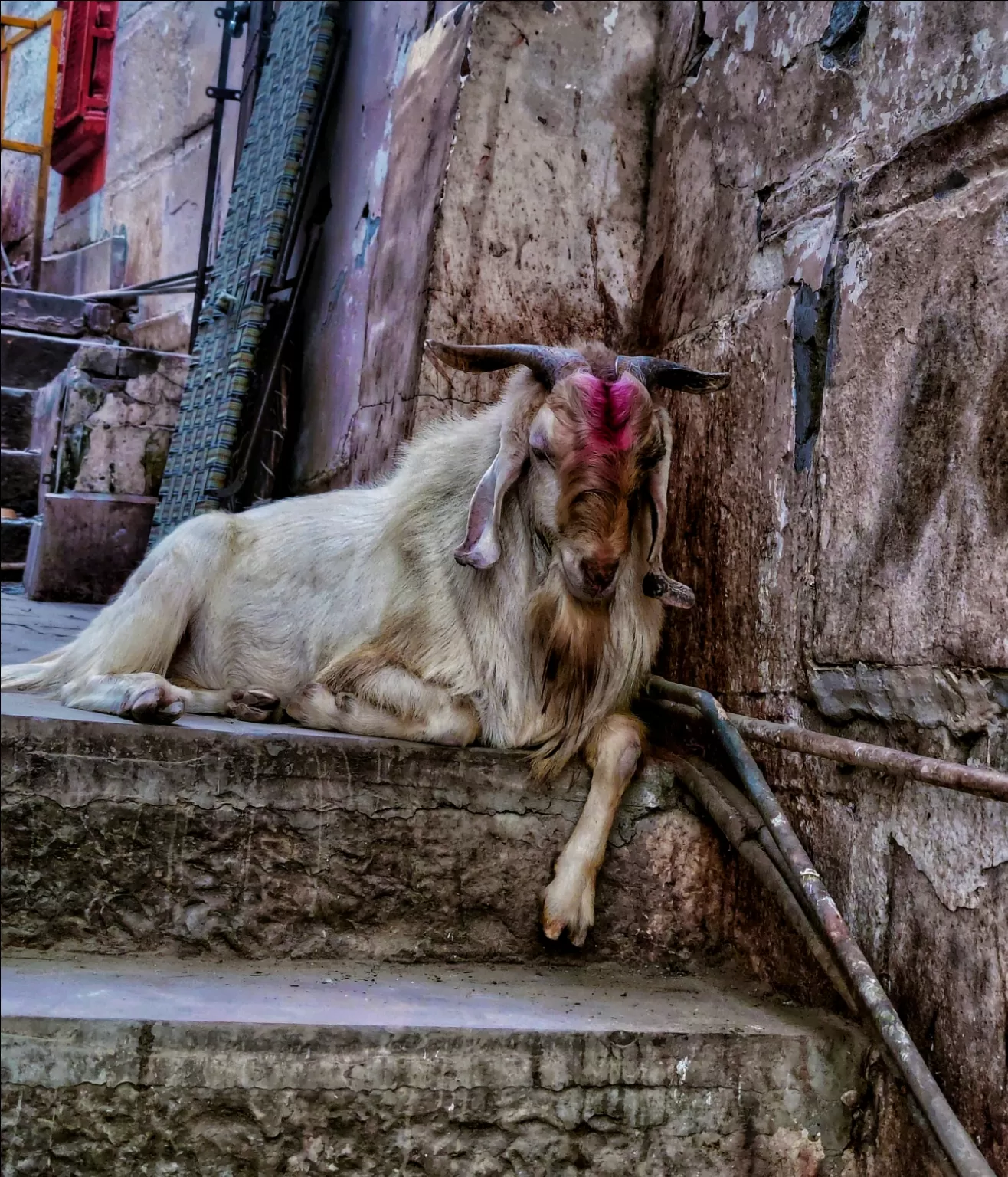 Photo of Varanasi By Soumalya Banerjee