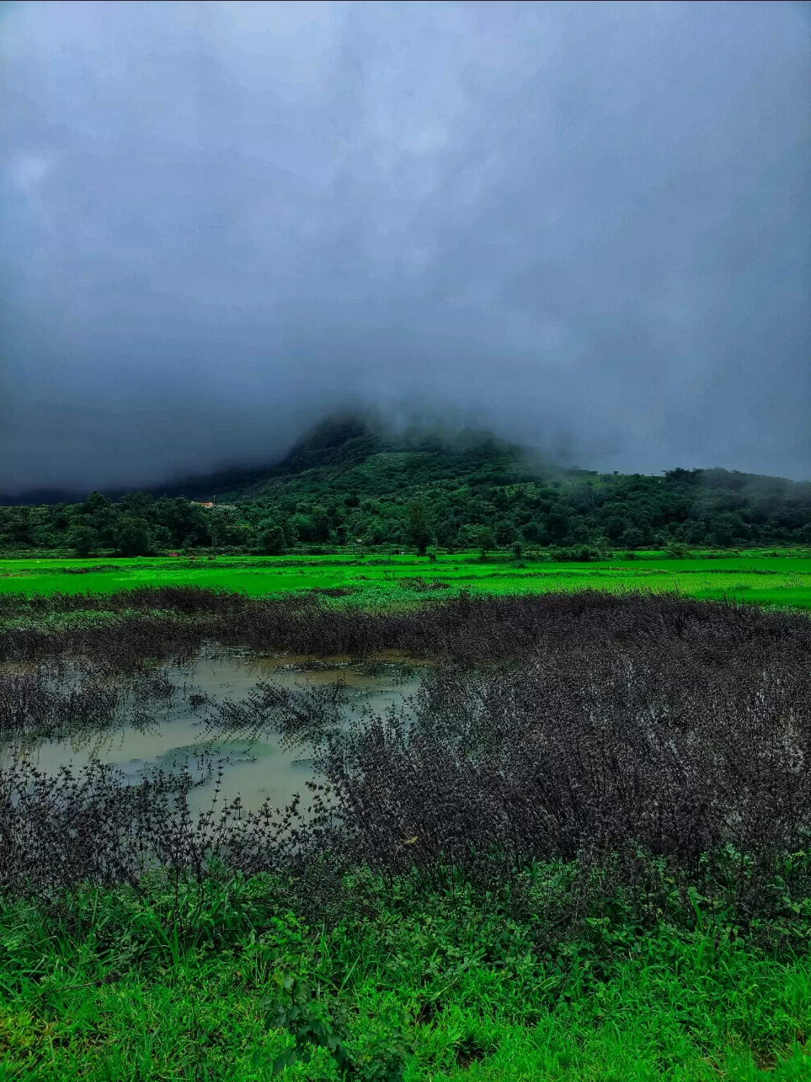 Photo of Naneghat By Soumalya Banerjee