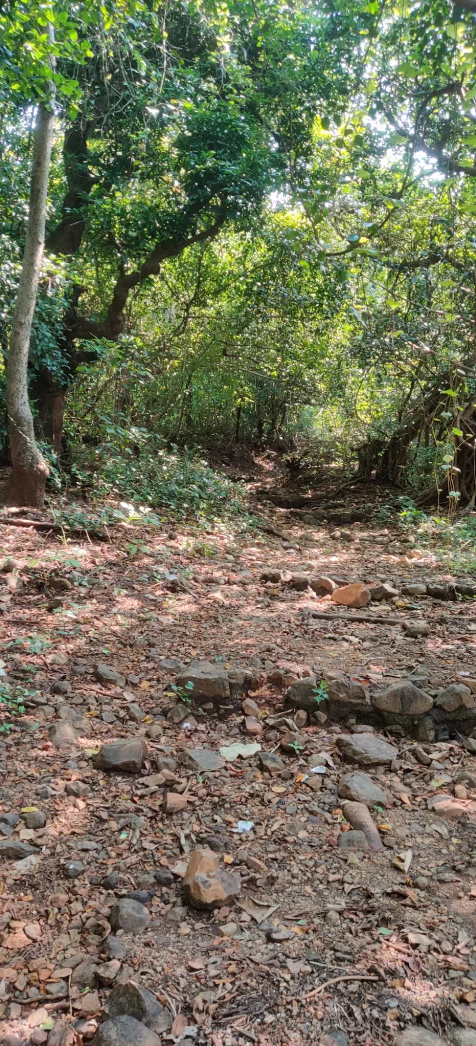 Photo of Kankeshwar Temple By vijay dalvi