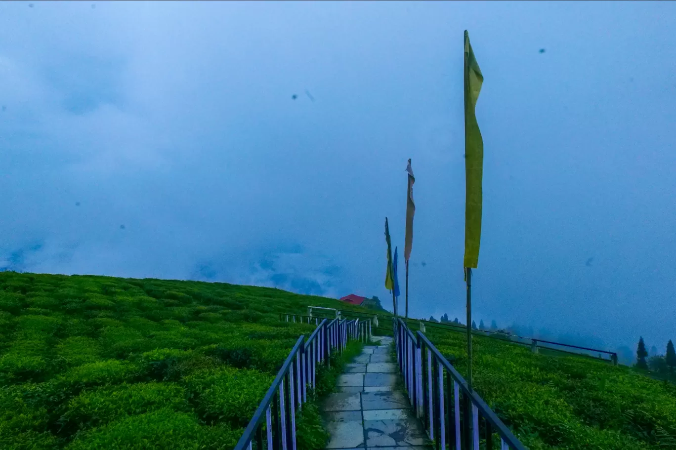 Photo of Temi Tea Garden By Uditbarla Films