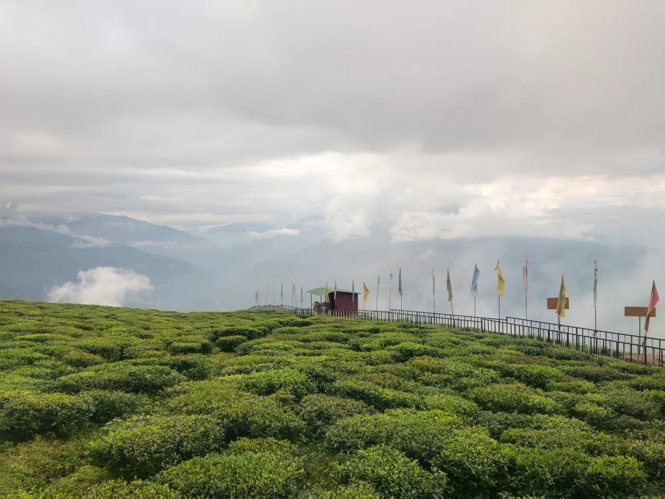 Photo of Temi Tea Garden By Uditbarla Films