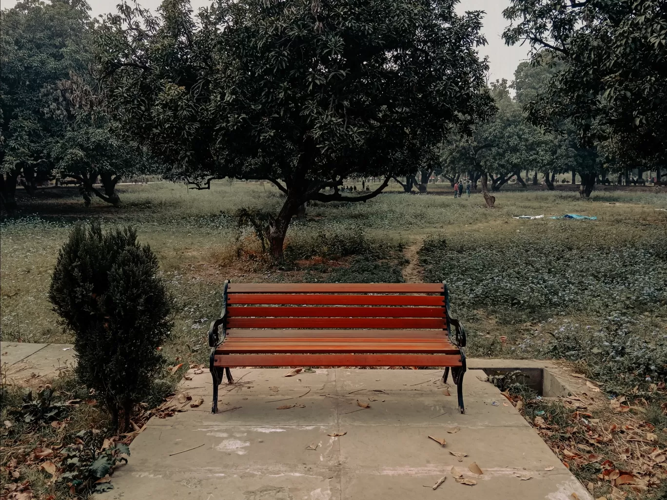 Photo of Khusro Bagh By Yash Pratap Singh