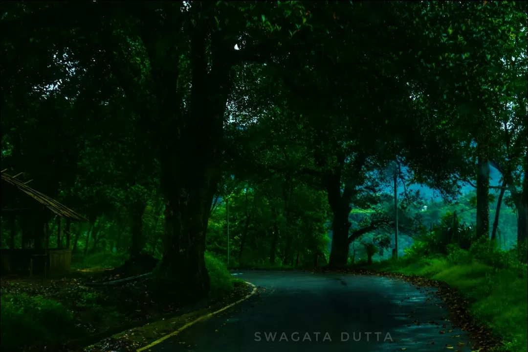 Photo of India By Swagata Dutta