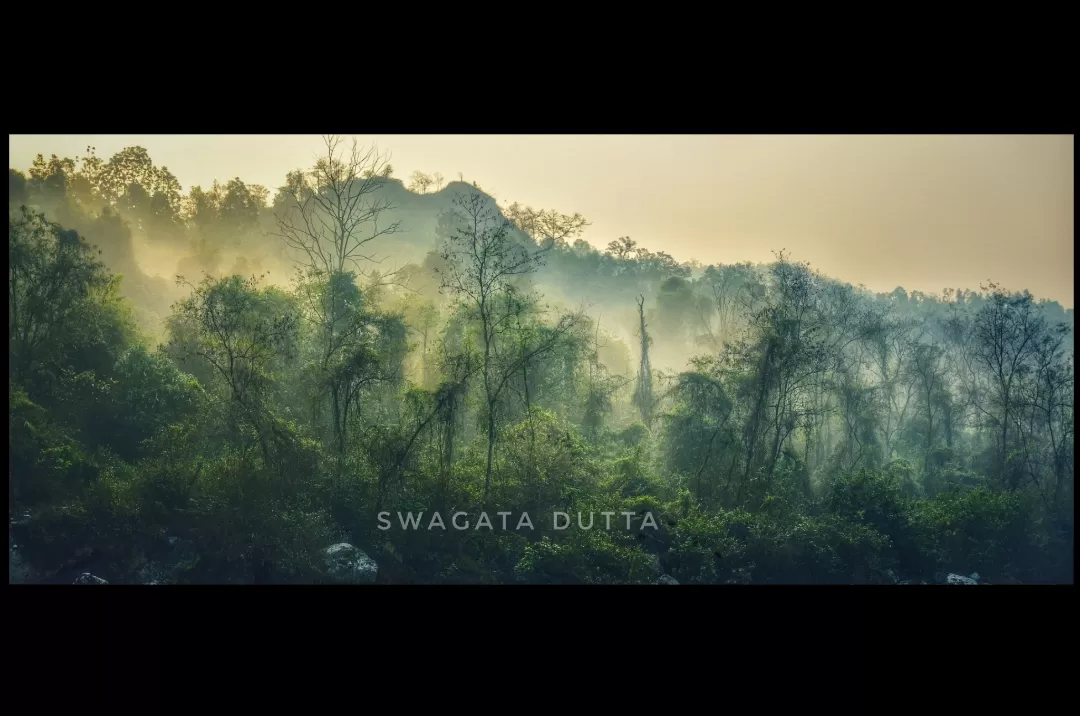 Photo of India By Swagata Dutta