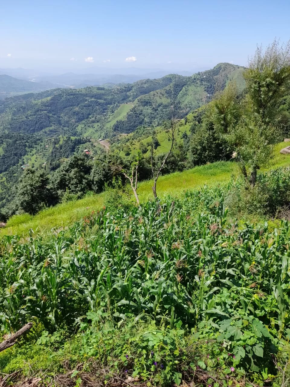 Photo of Jammu and Kashmir By Engineer Shahid Lodhi