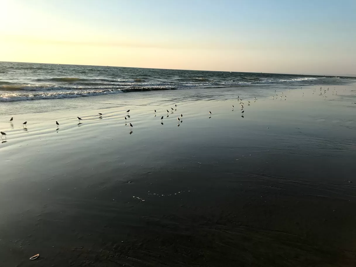 Photo of South Goa By Devatanu Nandy