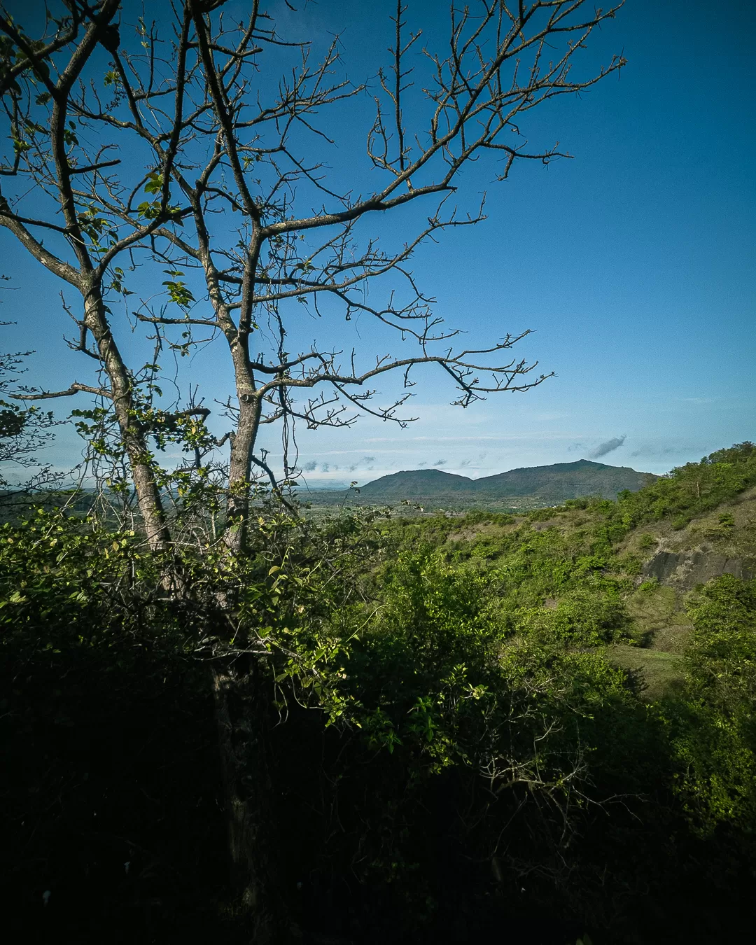 Photo of Harihar Fort By अमोल
