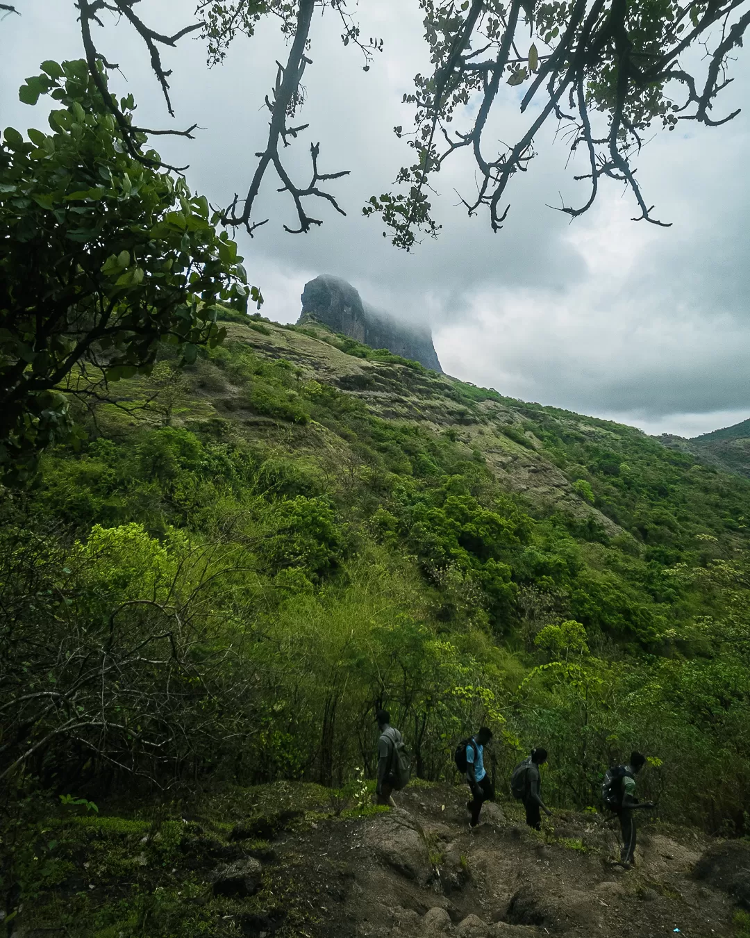 Photo of Harihar Fort By अमोल