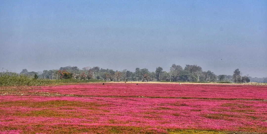 Photo of Assam By ARINDAM TALUKDAR 