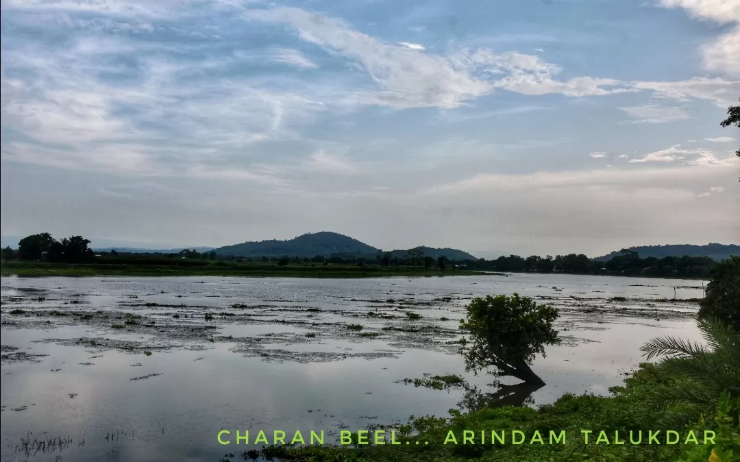 Photo of Assam By ARINDAM TALUKDAR 