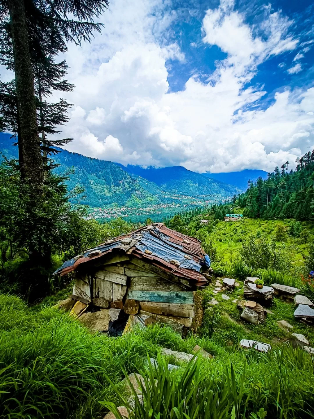 Photo of Manali By Hiral Shukla