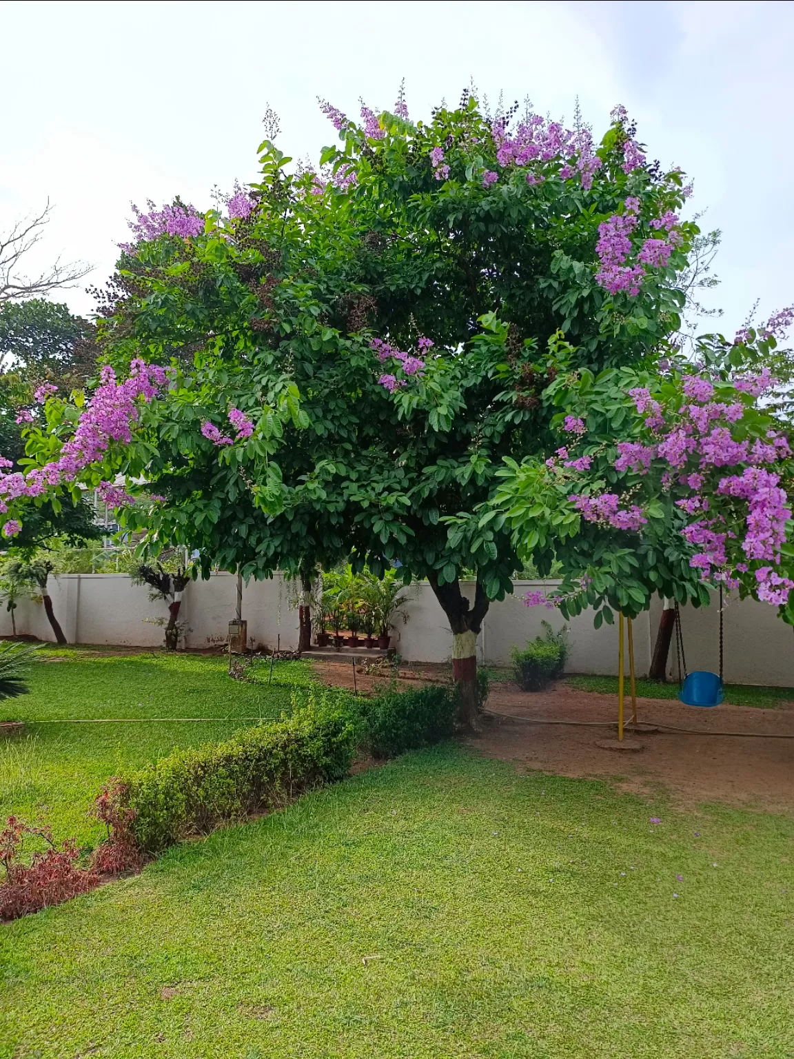 Photo of Bangalore By Chandru's Road Trip