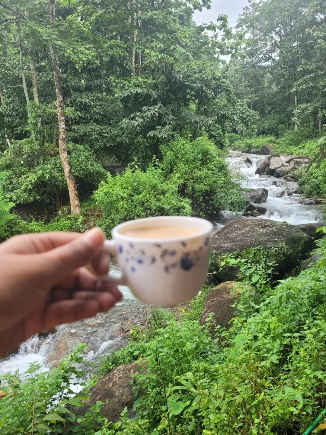 Photo of Darjeeling By Shruti Mukherjee 