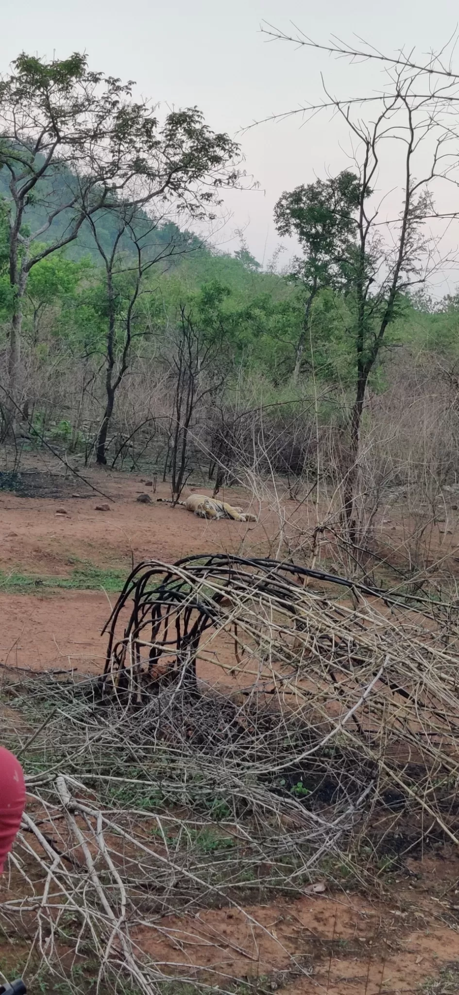 Photo of Panna National Park By Vinay Kumar