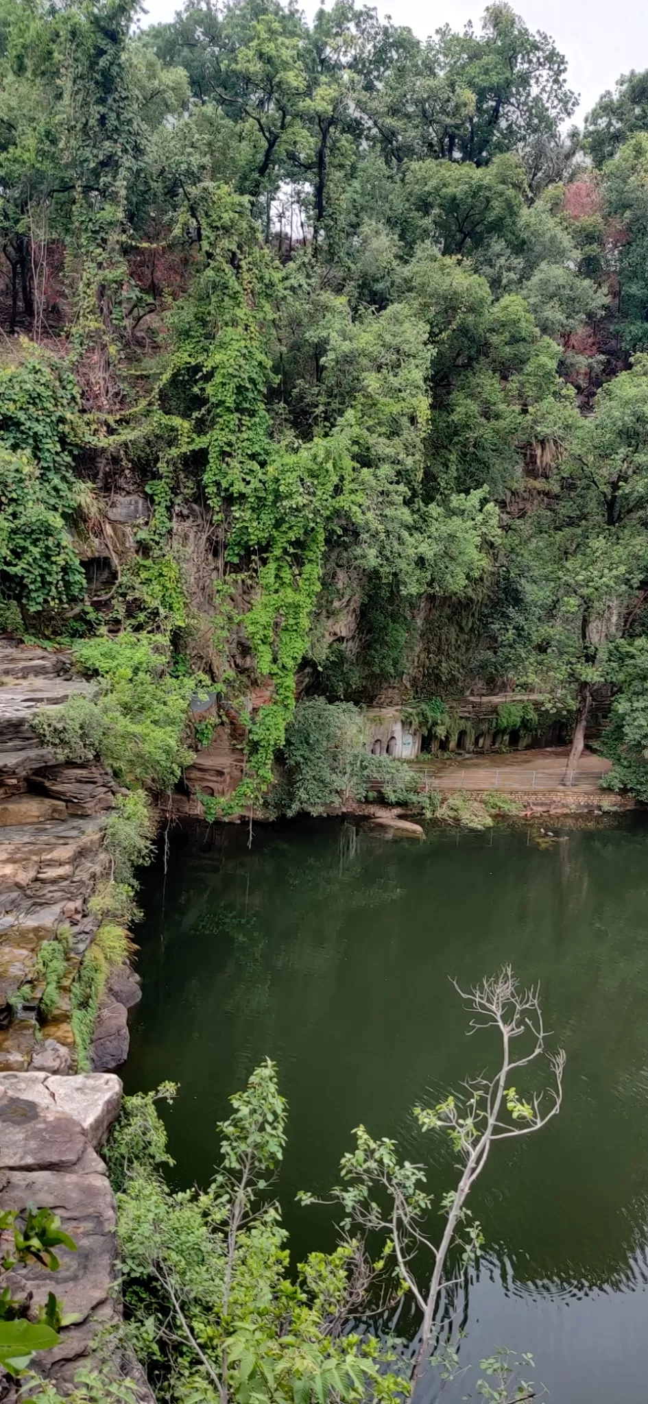 Photo of Panna National Park By Vinay Kumar