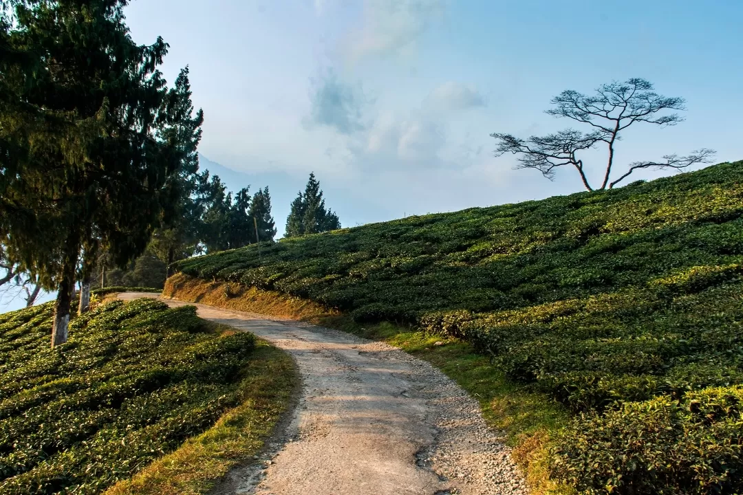Photo of Darjeeling By Sourav Mukherjee