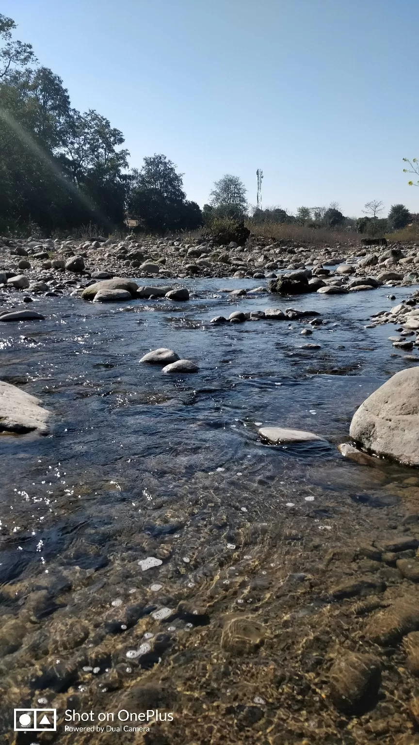 Photo of Jim Corbett National Park By Traveller for Life