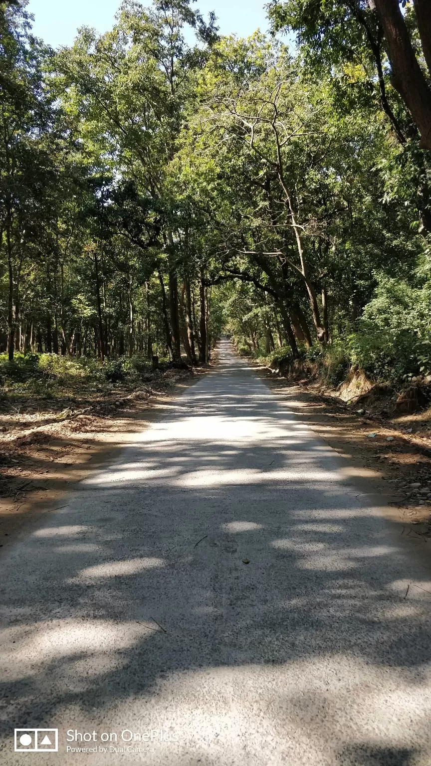 Photo of Jim Corbett National Park By Traveller for Life