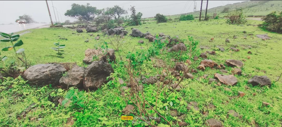 Photo of Salalah By Rupasri Majumder