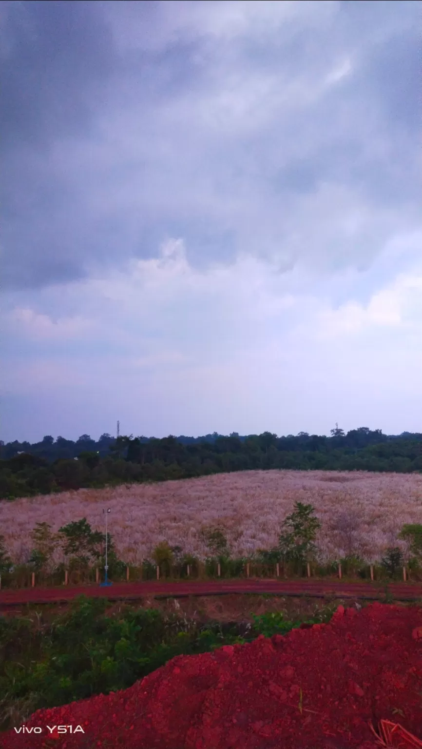 Photo of Noamundi By Sejal Lakra 