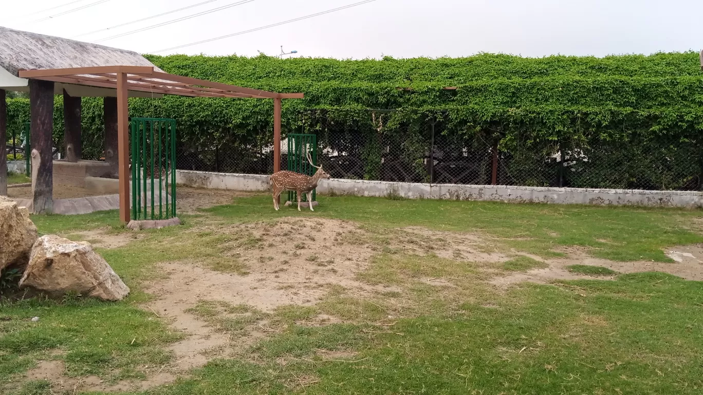 Photo of Block B MPCHS Block B Multi Gardens B-17 Islamabad By Ashfaq Qureshi