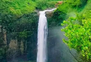 Photo of Kumbhe Waterfall By Bansal Chandresh