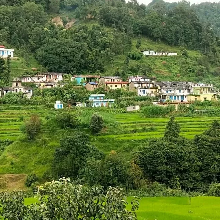 Photo of Didihat By True Travels
