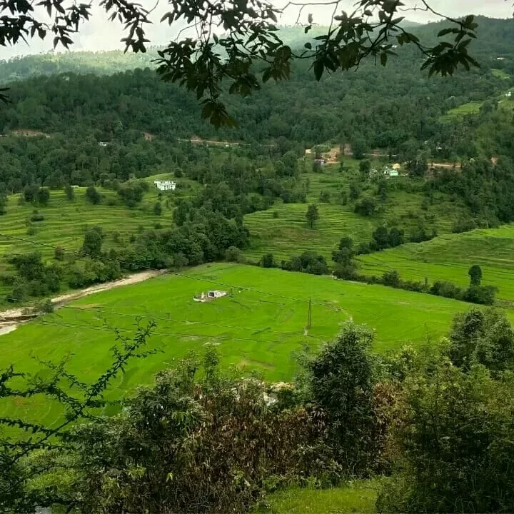 Photo of Didihat By True Travels