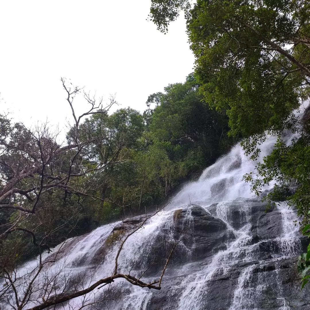 Photo of Yercaud By Aadhitya