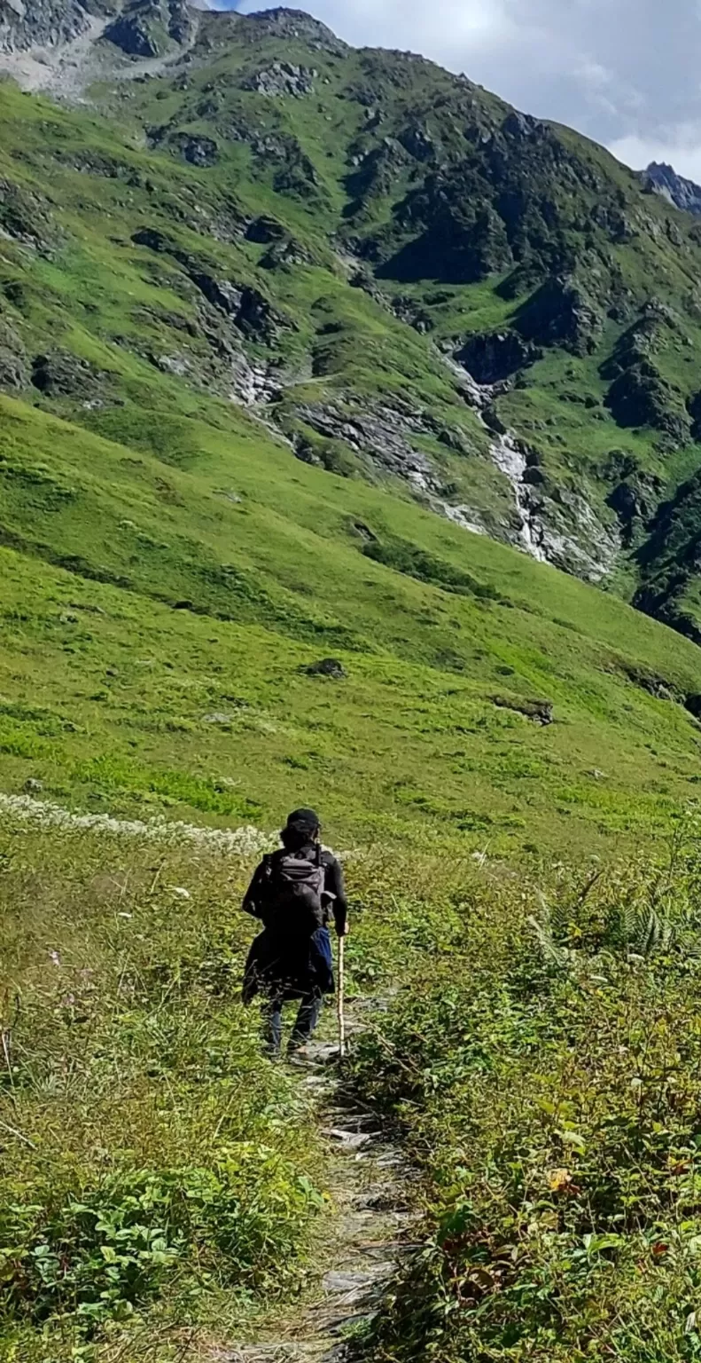 Photo of Valley of Flowers National Park By Kartikey Joshi