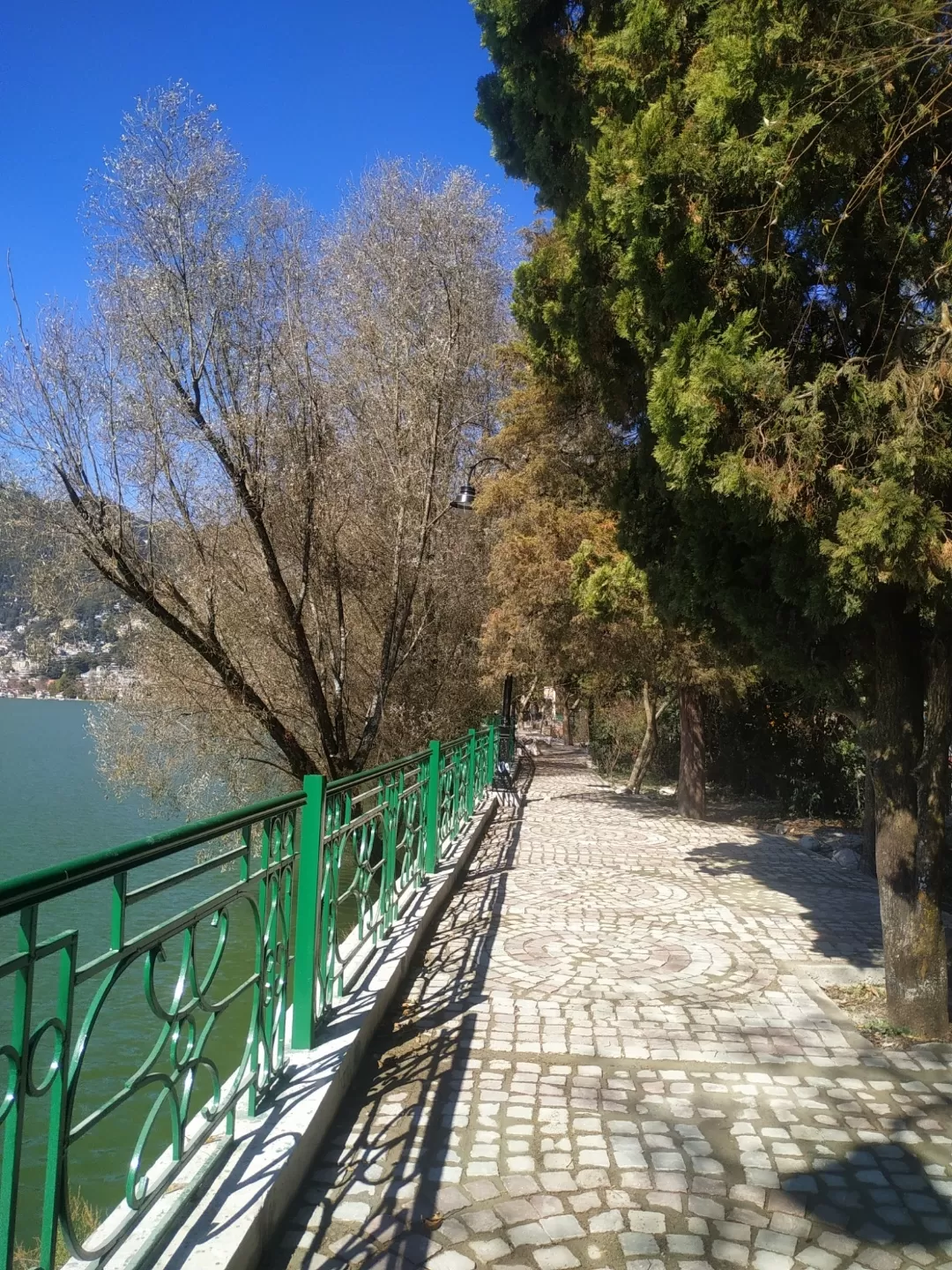 Photo of Nainital By Kartikey Joshi