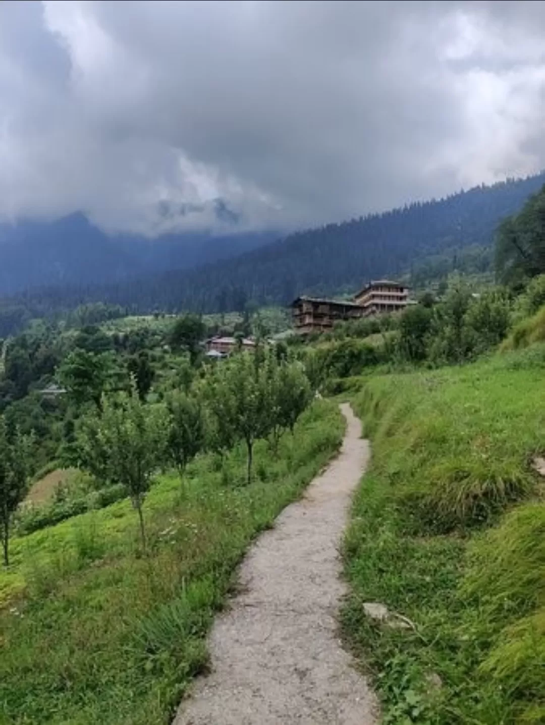 Photo of Sharchi By Er.JACKY GOYAL
