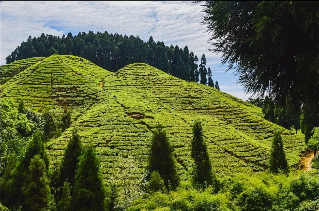 Photo of Darjeeling By Er.JACKY GOYAL